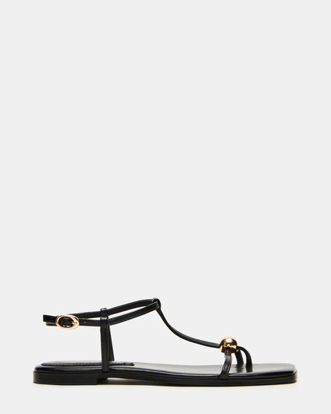 STEVE MADDEN