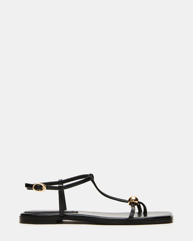 STEVE MADDEN